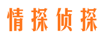 莱城侦探